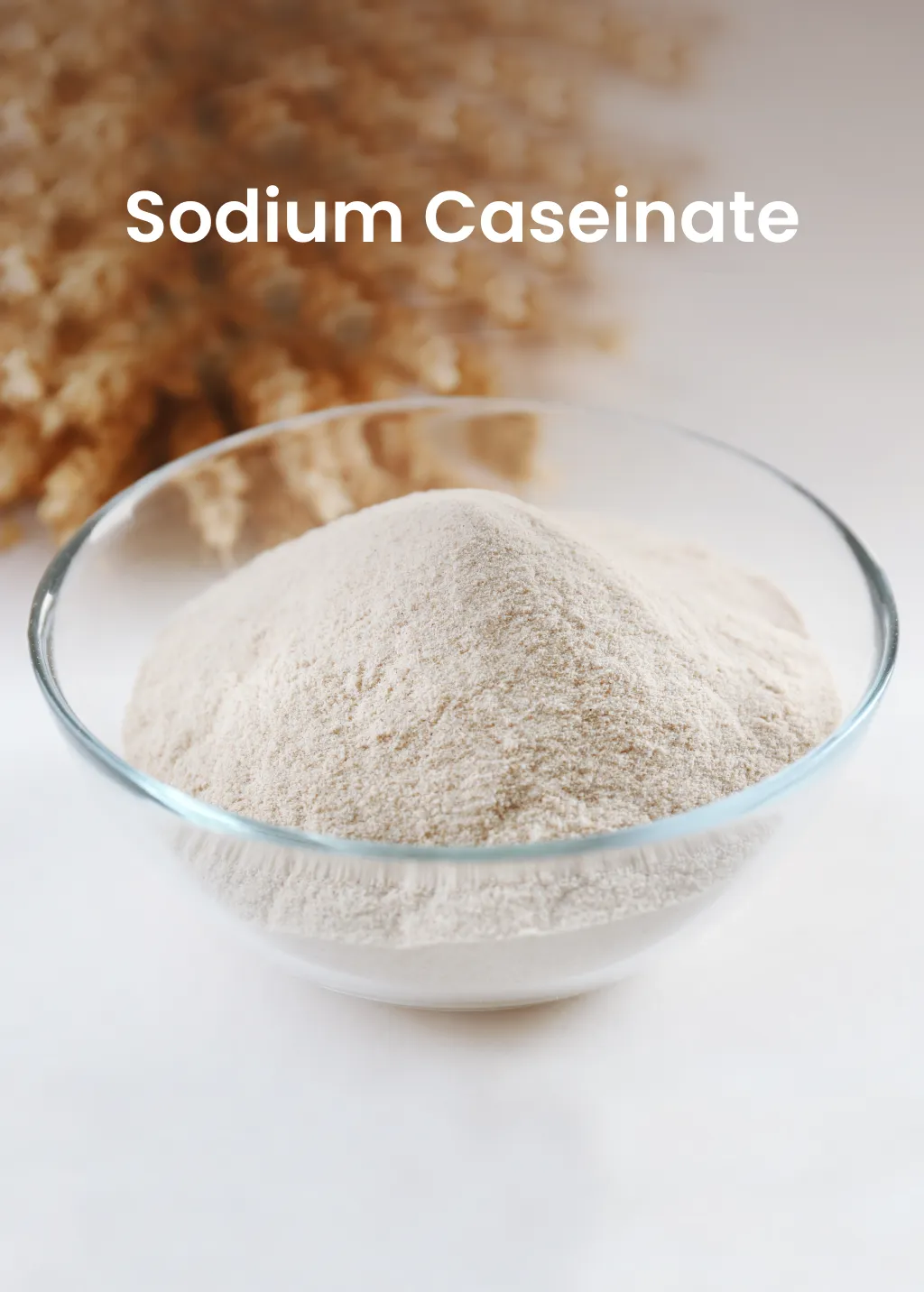 Sodium Caseinate from Milk Powder Asia